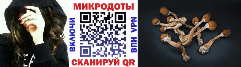 mega вход  наркота  Старая Купавна  Псилоцибиновые грибы прущие грибы 