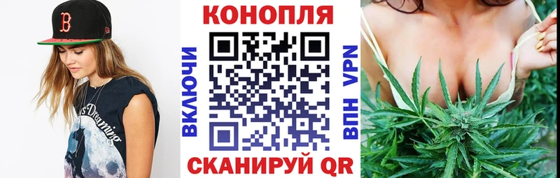 Канабис ГИДРОПОН  где можно купить наркотик  Старая Купавна 